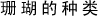 珊瑚的种类