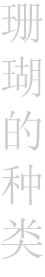 珊瑚的种类